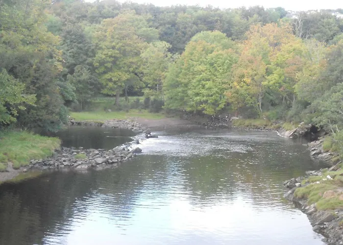 Carolina バンクラナ